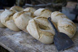 IL PANE “SCANATO” di Cerchiara (Cs)