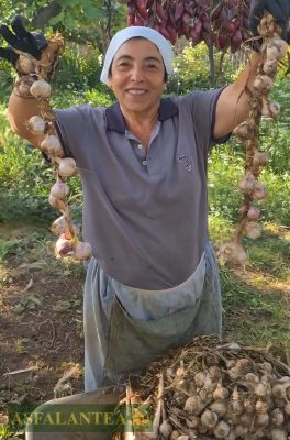 Il rarissimo aglio della “città di pietra” calabrese, salvato dall’oblio dalla signora Franca