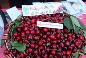Source: https://www.impressionidiviaggio.com/alto-ionio-cosentino-roseto-capo-spulico-al-via-la-festa-delle-ciliegie/