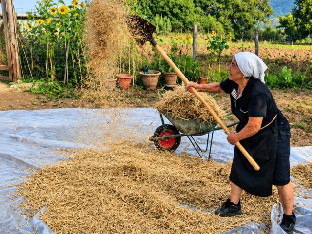 Quandu mina u ventu lusa a pala – Quando c’è vento alza la pala