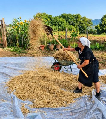 Quandu mina u ventu lusa a pala – Quando c’è vento alza la pala