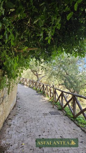 20240510-Giornata-del-Pane-WP-101