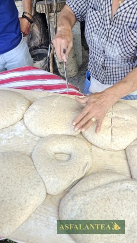 20240510-Giornata-del-Pane-WP-106