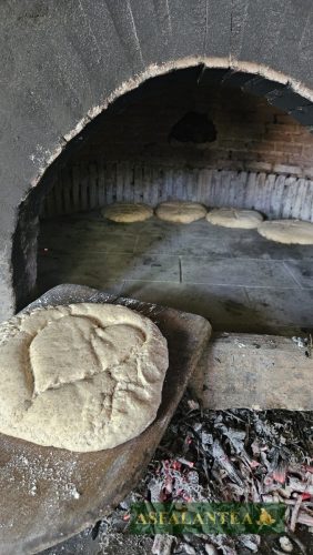 20240510-Giornata-del-Pane-WP-107