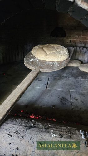 20240510-Giornata-del-Pane-WP-108