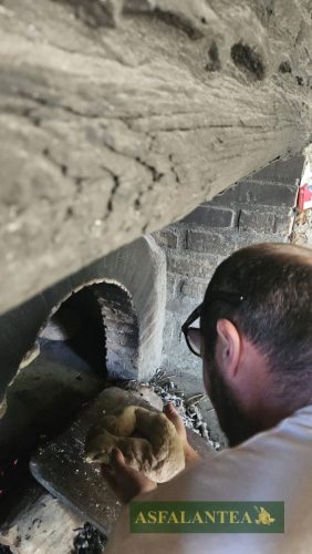 20240510-Giornata-del-Pane-WP-115