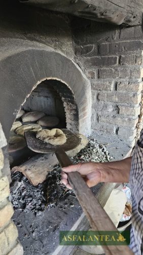 20240510-Giornata-del-Pane-WP-116