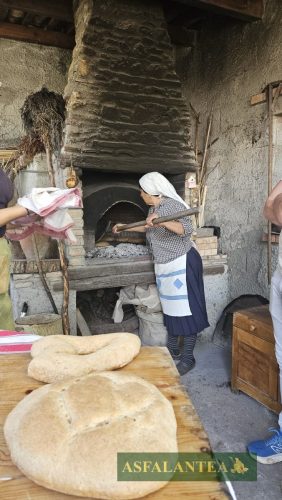 20240510-Giornata-del-Pane-WP-118
