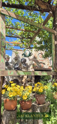 20240510-Giornata-del-Pane-WP-35