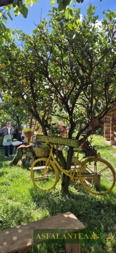 20240510-Giornata-del-Pane-WP-37