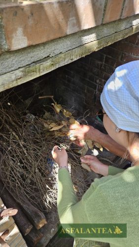 20240510-Giornata-del-Pane-WP-55