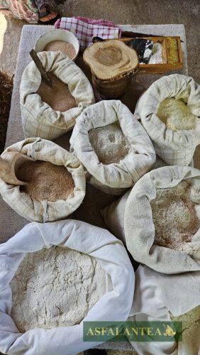 20240510-Giornata-del-Pane-WP-66