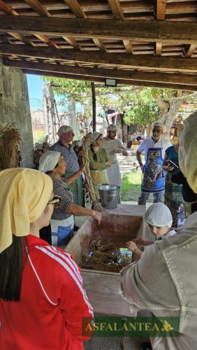 20240510-Giornata-del-Pane-WP-91