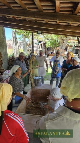 20240510-Giornata-del-Pane-WP-92