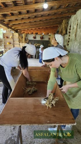 20240510-Giornata-del-Pane-WP-96