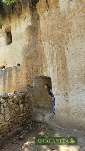 20240510-Giornata-del-Pane-WP-99