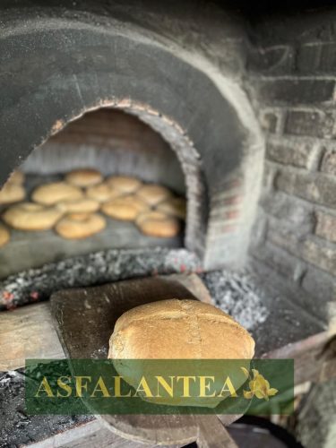 20240517-Giornata-del-Pane-WP-74