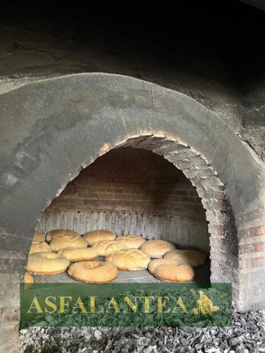 20240517-Giornata-del-Pane-WP-75