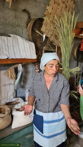 20240519-Giornata-del-Pane-63