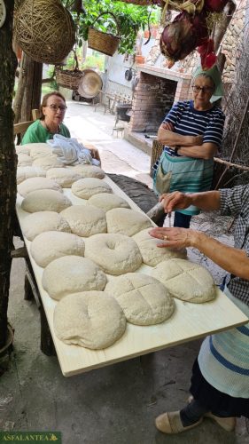 20240519-Giornata-del-Pane-94