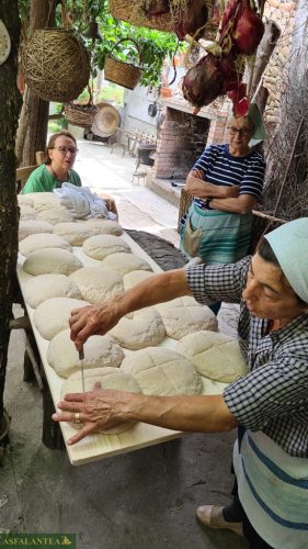 20240519-Giornata-del-Pane-95
