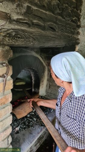 20240519-Giornata-del-Pane-97