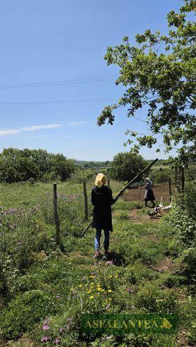 20240519-Giornata-del-Pane-WP-11