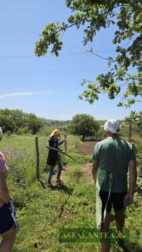 20240519-Giornata-del-Pane-WP-12