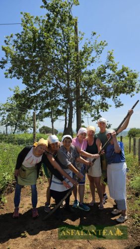 20240519-Giornata-del-Pane-WP-14