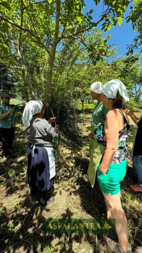 20240519-Giornata-del-Pane-WP-44