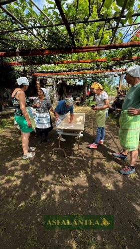 20240519-Giornata-del-Pane-WP-45