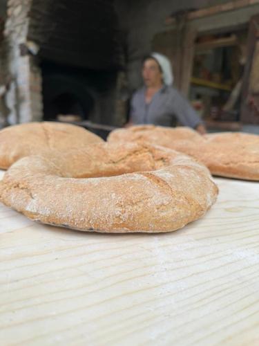20240525-Giornata-del-Pane-WP-13