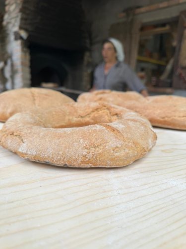 20240525-Giornata-del-Pane-WP-13