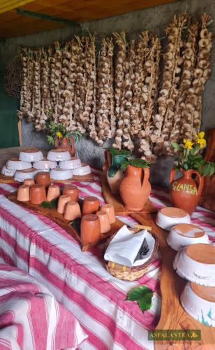 20240630-Giornata-del-Pane-WP-16