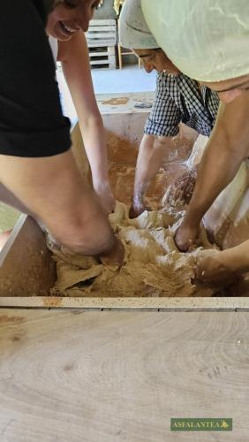 20240716-Giornata-del-Pane-WP-1