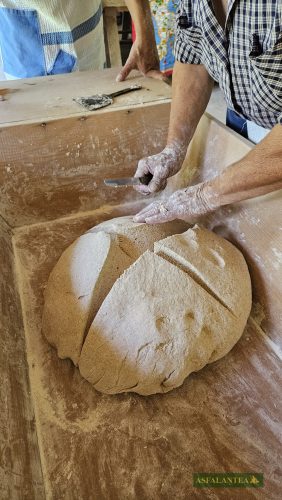 20240716-Giornata-del-Pane-WP-4