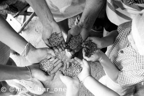 20240811-Giornata-del-Pane-WP-11