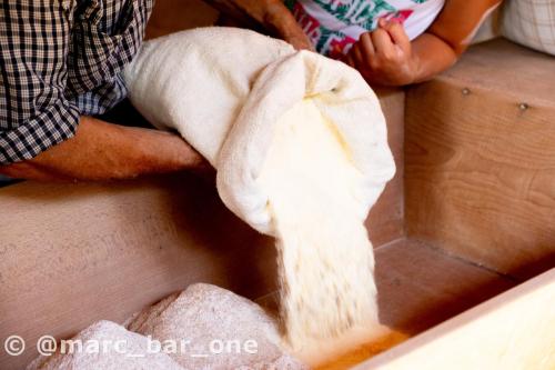 20240811-Giornata-del-Pane-WP-18