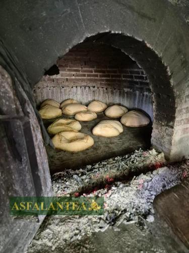 20240818-Giornata-del-Pane-WP-32