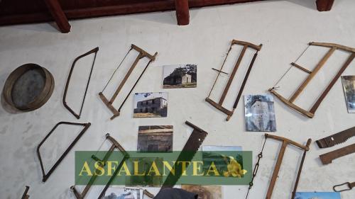 20240818-Giornata-del-Pane-WP-40