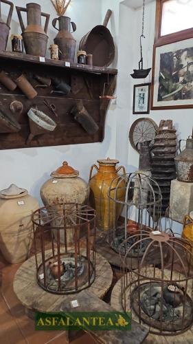 20240818-Giornata-del-Pane-WP-46