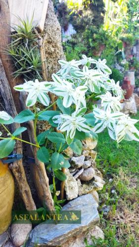 20240822-Giornata-del-Pane-WP-10