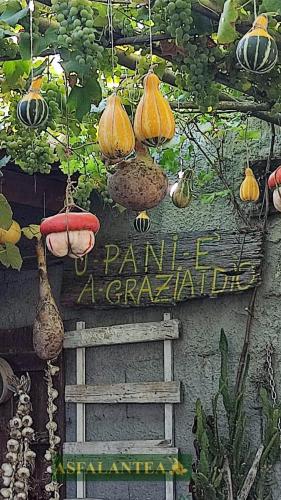 20240822-Giornata-del-Pane-WP-11