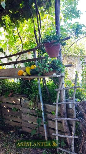 20240822-Giornata-del-Pane-WP-12