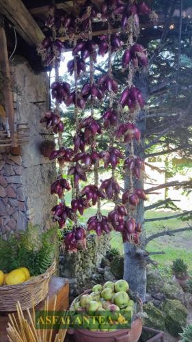 20240822-Giornata-del-Pane-WP-13