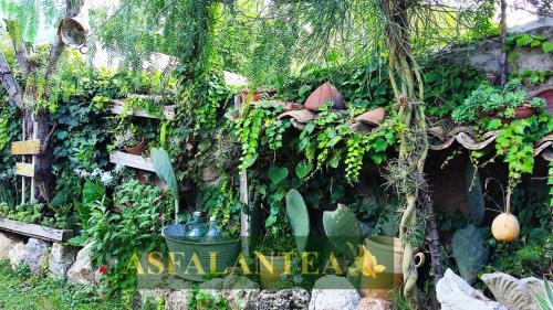 20240822-Giornata-del-Pane-WP-6