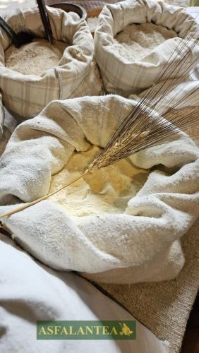 20240825-Giornata-del-Pane-WP-11