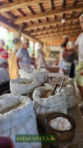 20240825-Giornata-del-Pane-WP-13