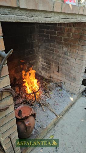 20240825-Giornata-del-Pane-WP-16