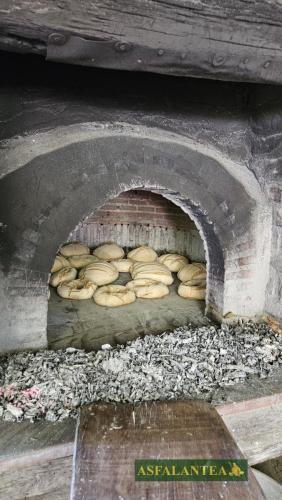 20240829-Giornata-del-Pane-WP-103